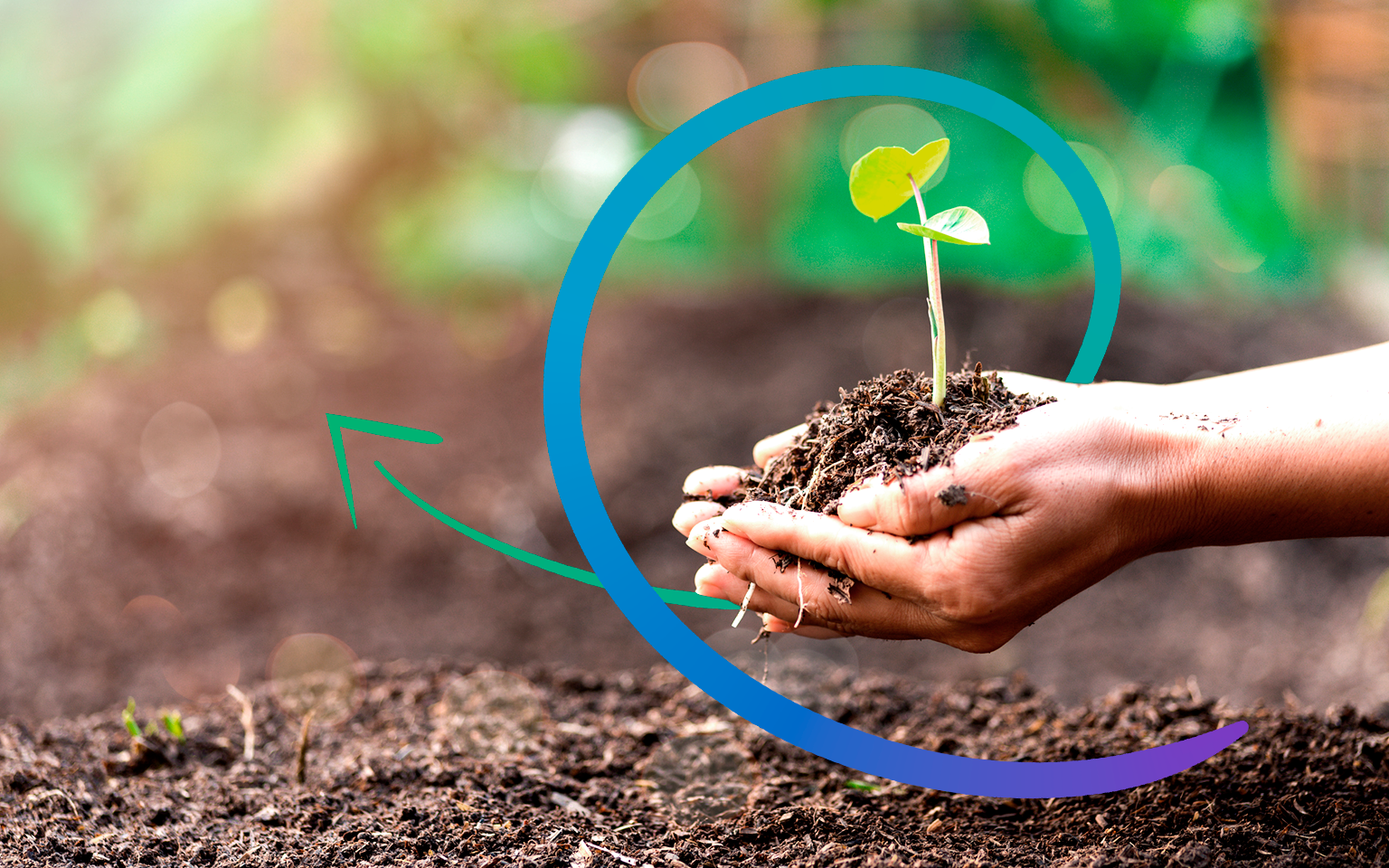sustainability