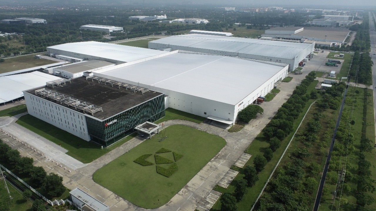 Vietnam plant