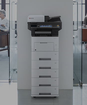 women typing in a laptop